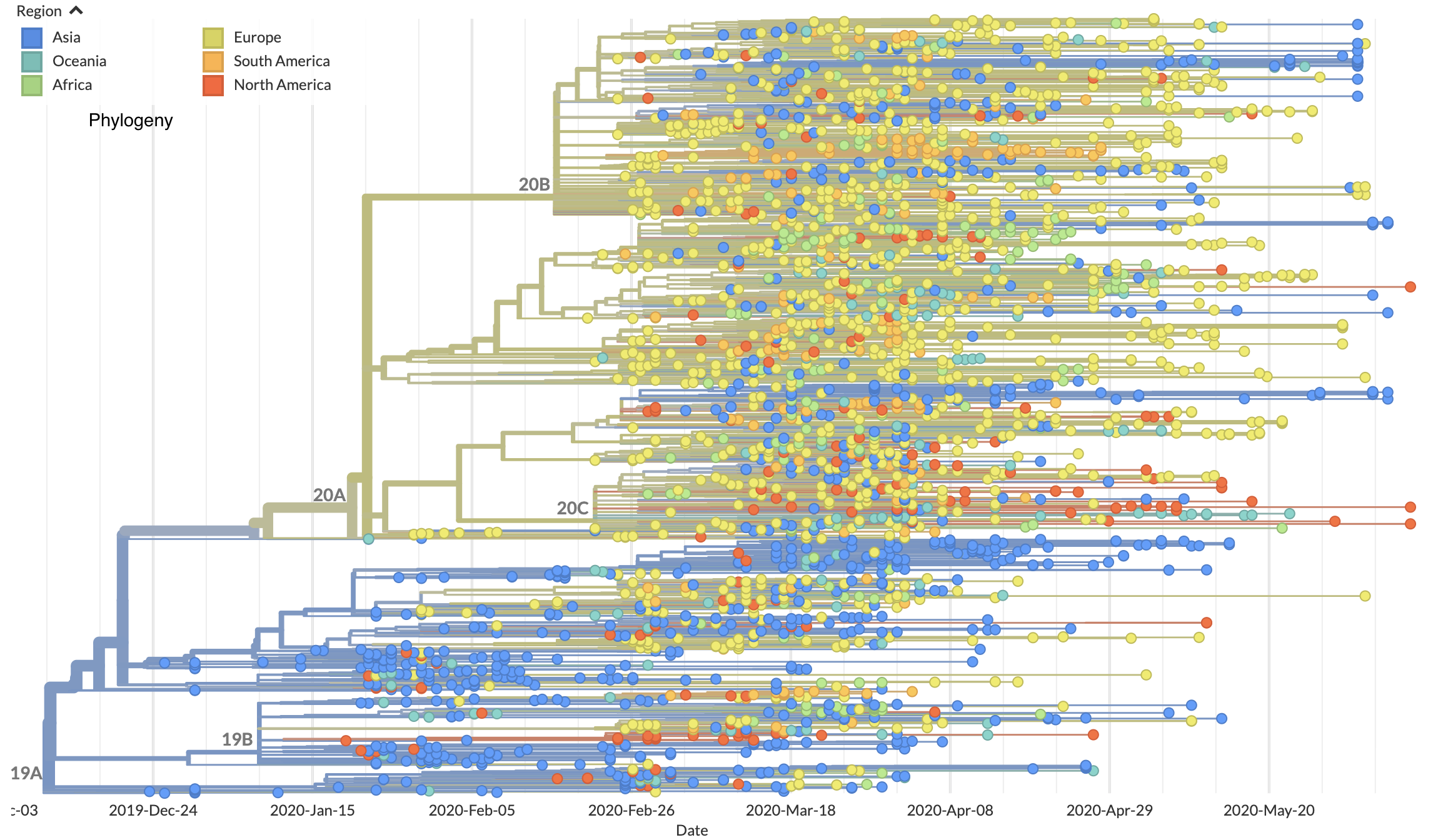 Screen Shot 2020-06-13 at 12.06.13 PM